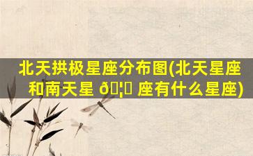 北天拱极星座分布图(北天星座和南天星 🦉 座有什么星座)